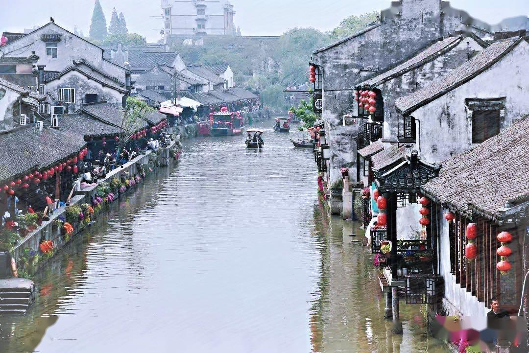 打假测评,没想到“网上卖的山东大馒头”是这样的,网友:太坑人!