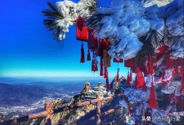 极地大逃亡